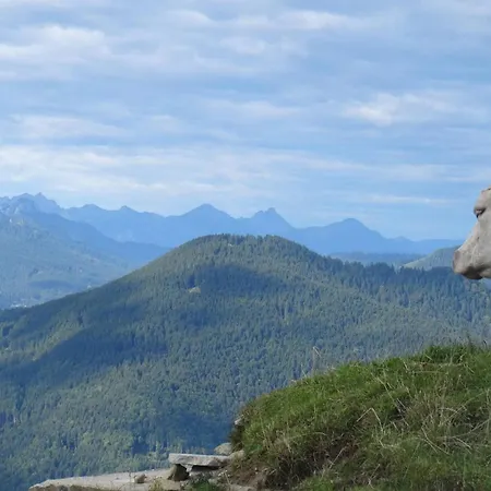 Haus Im Oberland - Berg